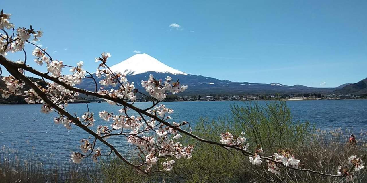 宝栄 Villas Lakeside Fujikawaguchiko Bagian luar foto